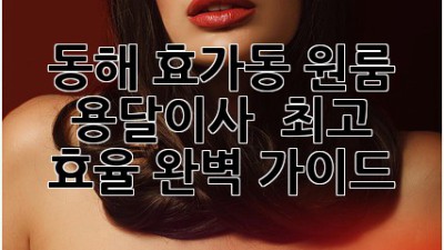 동해 효가동 원룸 용달이사 🚚💨 최고 효율 완벽 가이드